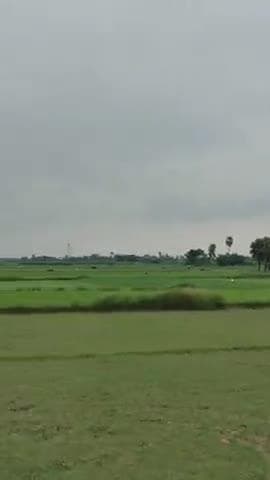 Muzaffarpur Bihar se taja khabr nikal ke a raha