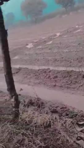 Alwar jila tahsil Rani Pali