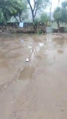 पिराला गांव में हुई ज्यादा बारिश बारिश के हालात बिगड़ते जा रहे हैं ज्यादा ज्यादा बारिश के कारण हुए किसानों को नुकसानद