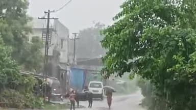 શિનોર: સિનોરમાં બપોર બાદ ગાજવિજ સાથે તોફાની વરસાદ અનેક વિસ્તારો પાણીથી તરબોળ