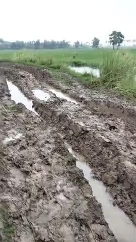punpun akona panchayet rod 
villege baisa