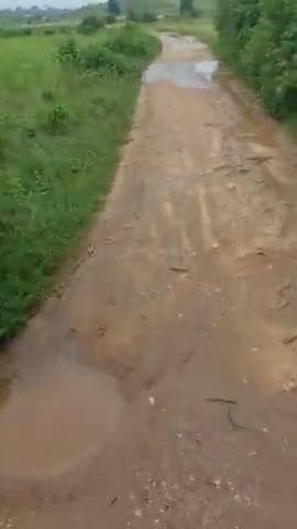 maheshapathar pakshim tola me sadak nahi bana hai
gramin logo ko aane jane me
had se jada paresani ho rahi
bananeki kr
