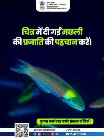 "क्या आप पहचान सकते हैं इस खूबसूरत मछली की प्रजाति? 🐟🔍
अपने उत्तर कमेंट्स में ज़रूर लिखें और अपनी जानकारी को परखें!
#KnowYourFish #FisheriesIndia #FishIdentification"