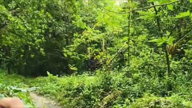 কালিয়াচক ১: কালিয়াচকের ফের অশান্তির ছায়া? ধুরিটোলা এলাকায় উদ্ধার ২২ টি তাজা বোমা