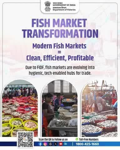 Stronger fisheries need stronger infrastructure!
Under #FIDF, modern fish markets are boosting hygiene, logistics & incomes—creating better opportunities for sellers & buyers alike. #FIDFImpact
