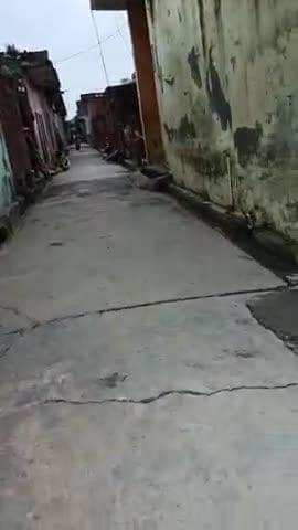 झिझाना के मोहल्ला सैदमीर नाला पटरी मंदिर वाली गली मे आज सुबह से बिजली गुल है जिस पर कोई कार्यवाही नहीं हुई है।