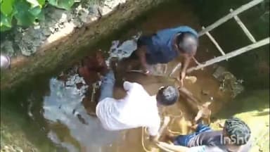 ग्राम चाँटी में निर्माणाधीन टैंक में गिरा चीतल, बचाव के बाद भी नहीं बच सकी जान