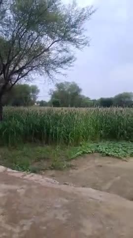 today rawali ki kothi anantwara m barish