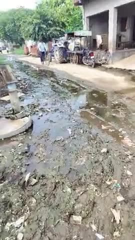 गांव सिंगारपुर में नालियां नहीं निकल गई है इस रोड पर बारिश टाइम में पानी रोड पर बड़ा रहता है इतनी गंदगी हैमच्छर बहुत हो