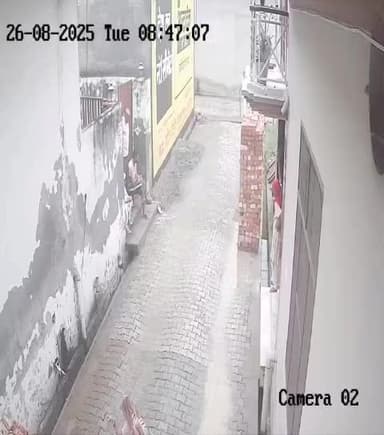 सिरसल गांव मे बुजुर्ग रामजवारी शर्मा पर किया दबंगो ने हमला, सीसीटीवी वायरल