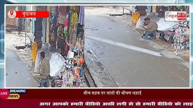 वृंदावन: सांडों की लड़ाई का वीडियो वायरल, बाल-बाल बचा पुलिसकर्मी
#मथुरा #वृंदावन #पुलिसकर्मी #लड़ाई