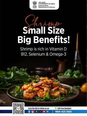 Shrimp isn’t just tasty — it’s a powerhouse of protein, B12, and omega-3s! #HealthyEating #SeafoodLovers #ProteinRich #Omega3 #Fisheries