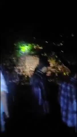 कलेसर से आगे लाल डांग के पास एक कैंटर पर अचानक गिरा पेड़