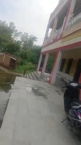 amoli ke sarkari school weir bharatpur