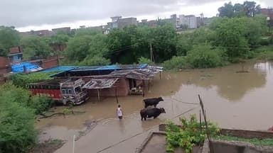 #गंगा दीप कॉलोनी संगम नगरी प्रयागराज 8.9. लोगों का घर तक पानी घुस गया है लोगों को अब घर में रहने के लिए अपना तफरी मची है