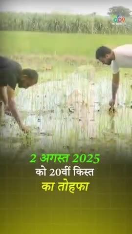 प्रधानमंत्री @narendramodi का वाराणसी दौरा।। 📷 2 अगस्त, 📷 ₹20,000+ करोड़ सीधे 9.7 करोड़ किसानों के खाते में! किसानों के सम्मान और सशक्तिकरण की बड़ी पहल। 📷 #AatmaNirbharKrishi #PMKisan