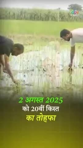 प्रधानमंत्री @narendramodi का वाराणसी दौरा।। 📷 2 अगस्त, 📷 ₹20,000+ करोड़ सीधे 9.7 करोड़ किसानों के खाते में! किसानों के सम्मान और सशक्तिकरण की बड़ी पहल। 📷 #AatmaNirbharKrishi #PMKisan