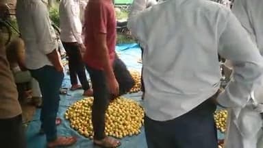 वैर सब्जी मंडी में नींबू खरीद करते हुए खरीददार नींबू का भाव नहीं होने पर व्यापारियों के मन हुए उदास