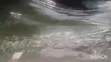 हसनपुर: हसनपुर में यमुना नदी खतरे के निशान से ऊपर, बाढ़ का खतरा
