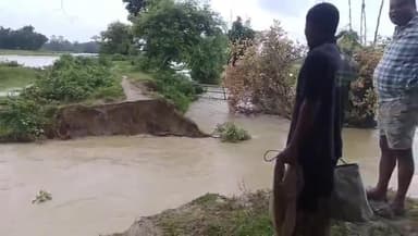 নাওবৈচা: নাওবৈচাত পাভ নৈৰ গাইড বান্ধ ছিঙি বুৰাই পেলালে বিস্তীৰ্ণ অঞ্চল ,বানাক্ৰান্তৰ মাজত হাহাকাৰ