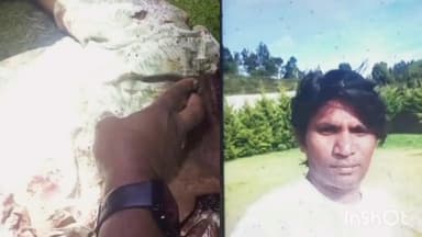 குந்தா: காட்டு யானைகளின் தாக்குதல்களால் பறிபோகும் உயிர்கள், வனசரக பகுதியில் நடந்த கொடூர சம்பவம்