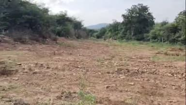 చిట్యాల: మున్సిపాలిటీ పరిధిలో మితిమీరిన భూ కబ్జా దారుల ఆగడాలు,సి.నెం.59లోని 2 ఎకరాల భూమి కబ్జా,నిర్ధారించిన రెవెన్యూ అధికారులు