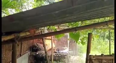 সৰ্থেবাৰী: বৰমাৰা গাঁৱত মাটিৰ দালালে বাসগৃহত অগ্নি সংযোগ কৰি মাটি দখলৰ চেষ্টাৰ অভিযোগ, থানাত এজাহাৰ দাখিল