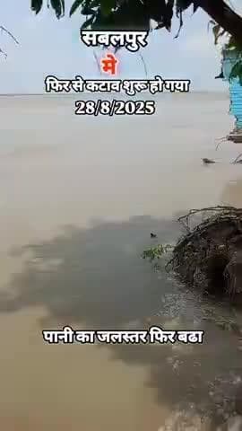 सबलपुर में कटाव जारी है पानी के तेज धार से ब्रेकिंग न्यूज़ सारण