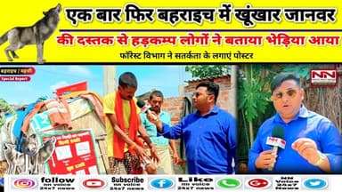 Wolf attack bahraich | एक बार फिर बहराइच में खूंखार जानवर की दस्तक से हड़कंप | #bhediya #bahraich