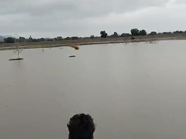 nalkheda
t hi PJ gr up
bnmjj