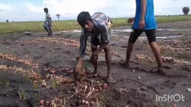 ಅಜ್ಜಂಪುರ: ಅಜ್ಜಂಪುರದಲ್ಲಿ ರೈತ ಬೆಳೆದ ಈರುಳ್ಳಿಗೆ ಅದೇನಾಯ್ತು ನೀವೇ ನೋಡಿ...ಲಕ್ಷ ಲಕ್ಷ ರೈತನ ಹಣ ಮಂಗ ಮಾಯ..!?.