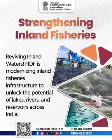 Strengthening Inland Fisheries
Reviving Inland Waters! FIDF is modernizing inland fisheries infrastructure to unlock the potential of lakes, rivers, and reservoirs across India.
#InlandFisheries #WaterWealth #FIDFIndia