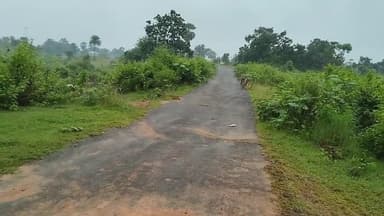 sarbindha to Poreyahat road real vedio