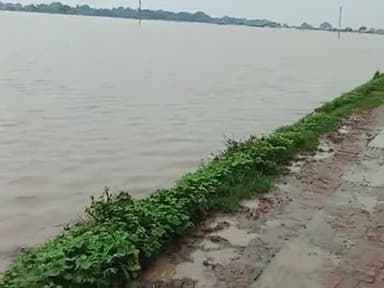 Sherpur Kalan Ke tal me pani aagaya hai #sherpur