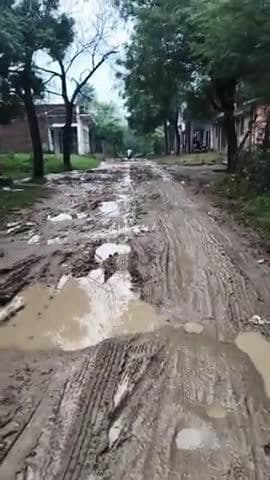 ग्राम पंचायत बम्होरी कलां ब्लॉक पलेरा मोहल्ला pathaghat की सड़क की हालत बहुत ही खराब है जिस पर वाहन फंस जाते हैं