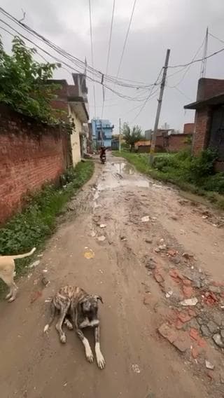 वार्ड संख्या 59 गांव भगवंतपुर थाना सी बी गंज राजा कैलोनी रेलवे क्रॉसिंग के पार भगवंतपुर गांव की सड़क का बुहत बुरा हाल है आने जने वाले को बुहत जाद्दा पारेसानी का सामना कर्ण होथा है