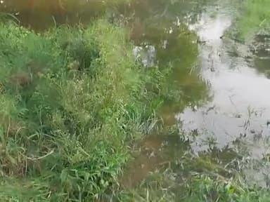 Bihar k ek jile begusara Ka ek Nagar Nigam Gaon.\nHai jismein badh ke kaaran Sabhi mauliwale Paresn Hai