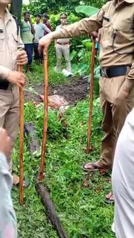 #उत्तराखंड #हल्द्वानी के #गोलापार में
10 साल के बच्चे की दर्दनाक मौत
बच्चों के धड़ से कर गायब कर दिया
मुजरिम ने