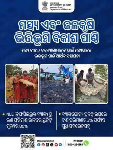 कम ब्याज दर, अधिक विकास! FIDF के तहत मिल रही है 3% तक ब्याज सब्सिडी
#FIDF #विकासकीनईदिशा
