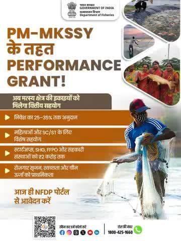 Caption- क्या आप मत्स्य पालक हैं?
तो अब समय है PM-MKSSY के तहत सहायता पाने का!
NFDP पोर्टल पर रजिस्टर करें और अनुदान पाएं।
👉 https://nfdp.dof.gov.in
#FisheriesIndia #PMMKSSY #NFDP