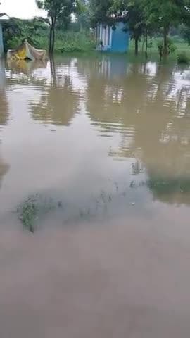 तिसौली ग्राम प्रधान द्वारा नाली को साफ नहीं किया गया पानी का बढ़ाओ ज्यादा है घर में घुसने की संभावना है