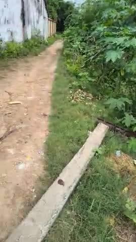 electricel issue...help us