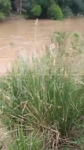 চন্দ্রকোনা ২: চন্দ্রকোনা ঝুঁকিপূর্ণ যাতায়াত ছাত্র-ছাত্রীদের নদীর উপর দিয়ে, ভাইরাল ভিডিও ঘিরে শোরগোল এলাকায়