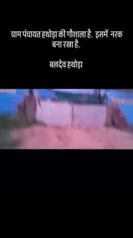 ग्राम पंचायत हथोड़ा गौ शाला
#gausevak #publicapp #gaumata #trendingnews #mathura