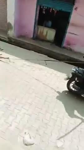 #अलीगढ़ में बेजुबान कुत्ते के साथ क्रूरता की सारी हदें पार
✍️दो युवक बाइक से बांधकर कुत्ते को खींचकर ले गए