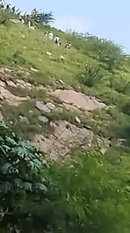 मुसलमानो के 12 गांव ने ठेकराबास,पापड़ा
के ऊपर जबरदस्ती illgal mining ⛏️ ( अवैध खनन ) किया & ladioso रोकने गए तो गैंग रैप