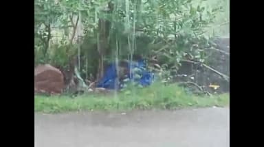 பூதலூர்: அலறடித்த வெயிலை அசால்டாக அமுக்கிய மழை : சாகுபடி பயிர்களுக்கு வளர்ச்சி தரும் என்பதால் தஞ்சை விவசாயிகள் மகிழ்ச்சி