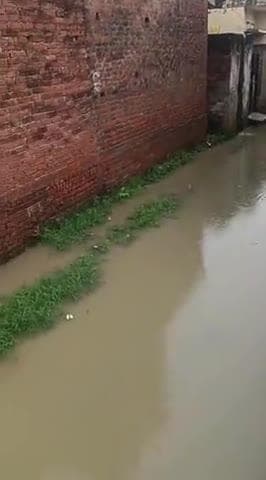 Gram Panchayat babhani gram kudi mafi gaon ka Pani Ka jal jamao Koi jansunwai nahin