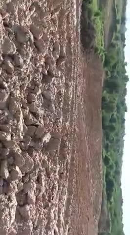 पोरसा: सोशल मीडिया पर वीडियो वायरल