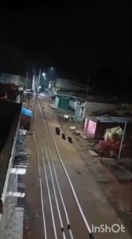 जनकपुर बस्ती में विचरण करता दिखा भालू, दहशत का माहौल